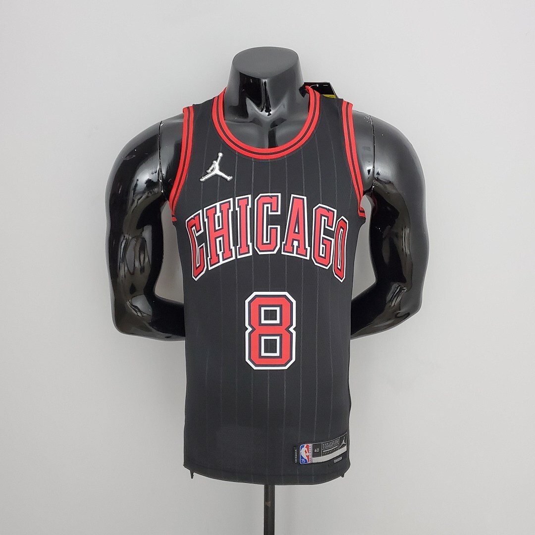 75th Anniversary LaVine#8 Bulls Flyers Black NBA Jersey S-XXL
